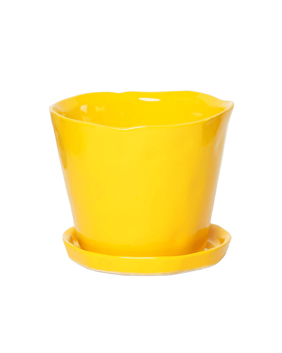 Tika Pot & Saucer | 5 inch - Chive UK Wholesale