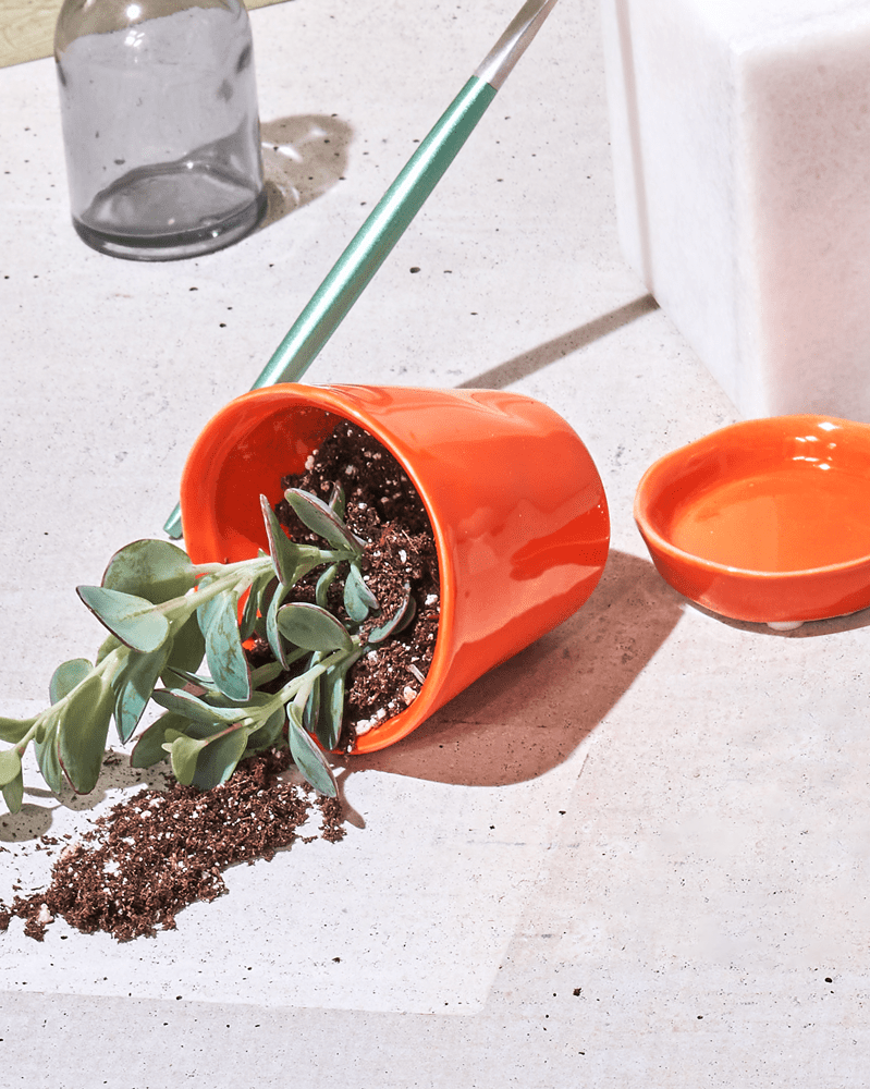 Tika Ceramic Pot & Saucer Set With Drainage - Chive UK Wholesale