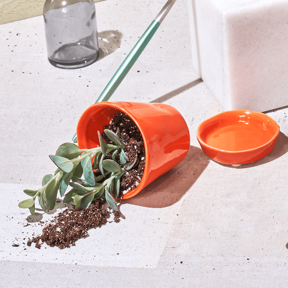 Tika Ceramic Pot & Saucer Set With Drainage - Chive UK Wholesale