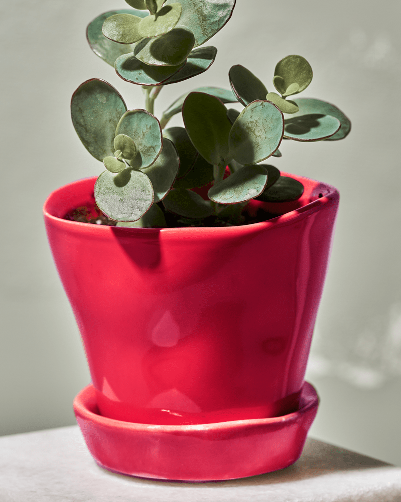 Tika Ceramic Pot & Saucer Set With Drainage - Chive UK Wholesale