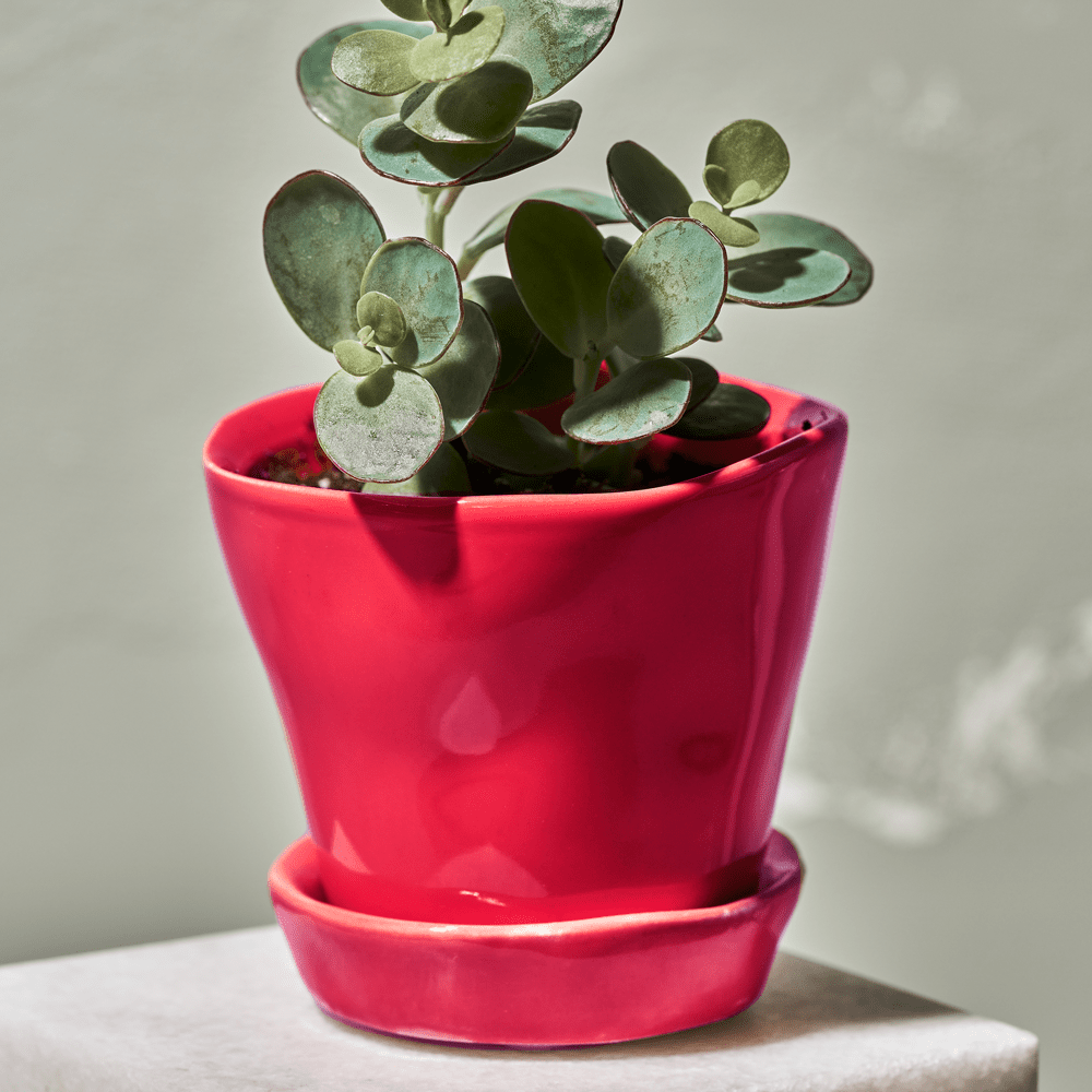 Tika Ceramic Pot & Saucer Set With Drainage - Chive UK Wholesale