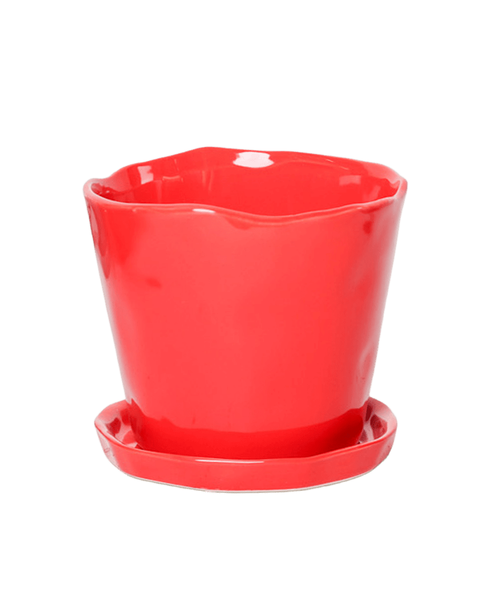 Tika Pot & Saucer | 5 inch - Chive UK Wholesale