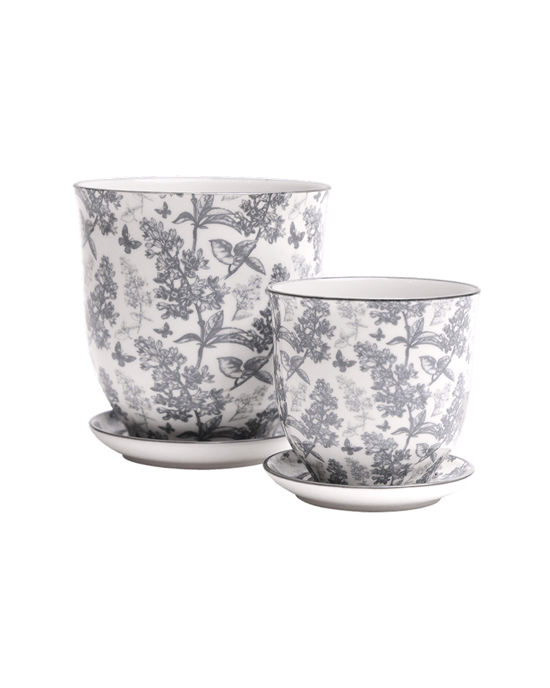 Liberte Porcelain Pot And Saucer Set With Drainage - Chive UK Wholesale