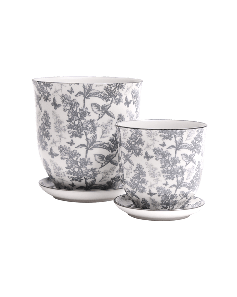 Liberte Porcelain Pot And Saucer Set With Drainage - Chive UK Wholesale