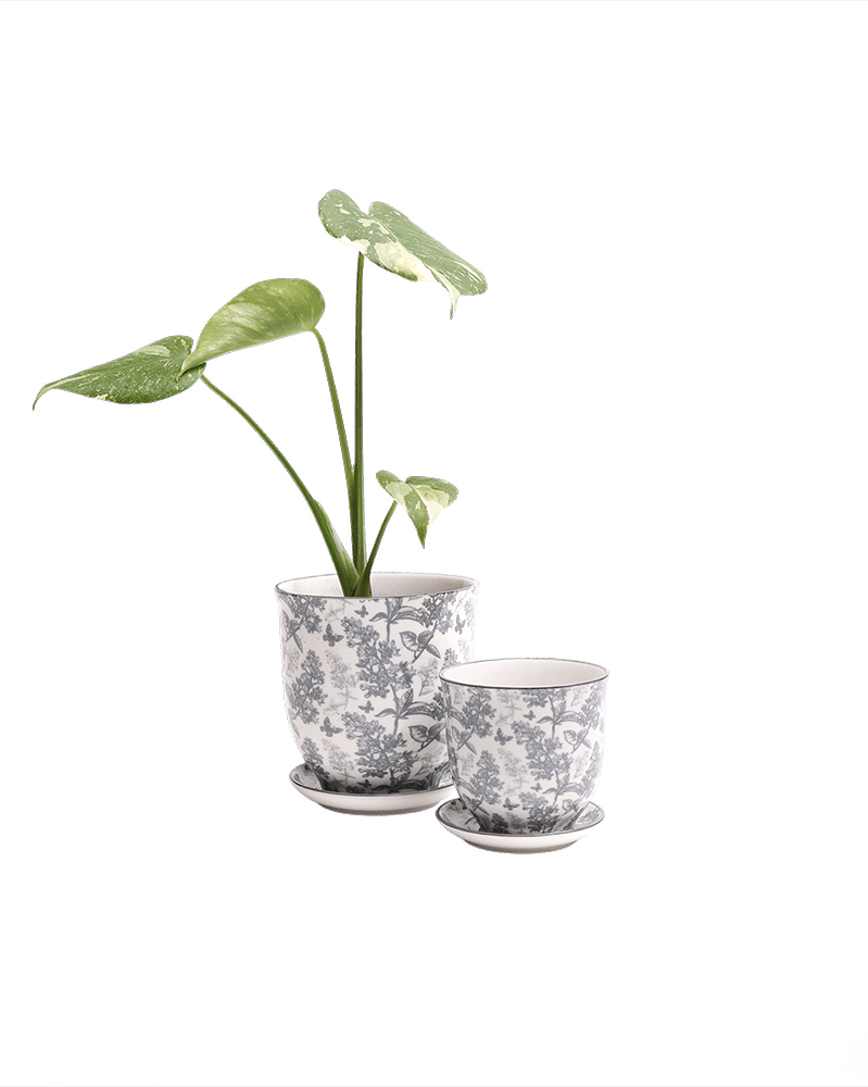 Liberte Porcelain Pot And Saucer Set With Drainage - Chive UK Wholesale