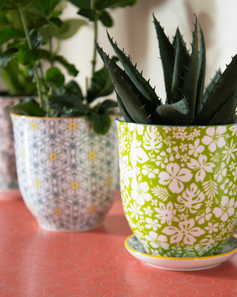 Liberte Porcelain Pot And Saucer Set With Drainage - Chive UK Wholesale