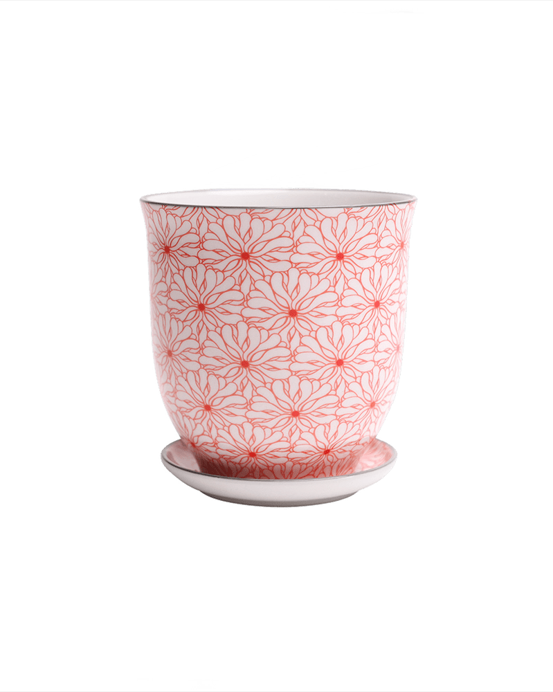 Liberte Porcelain Pot And Saucer Set With Drainage - Chive UK Wholesale