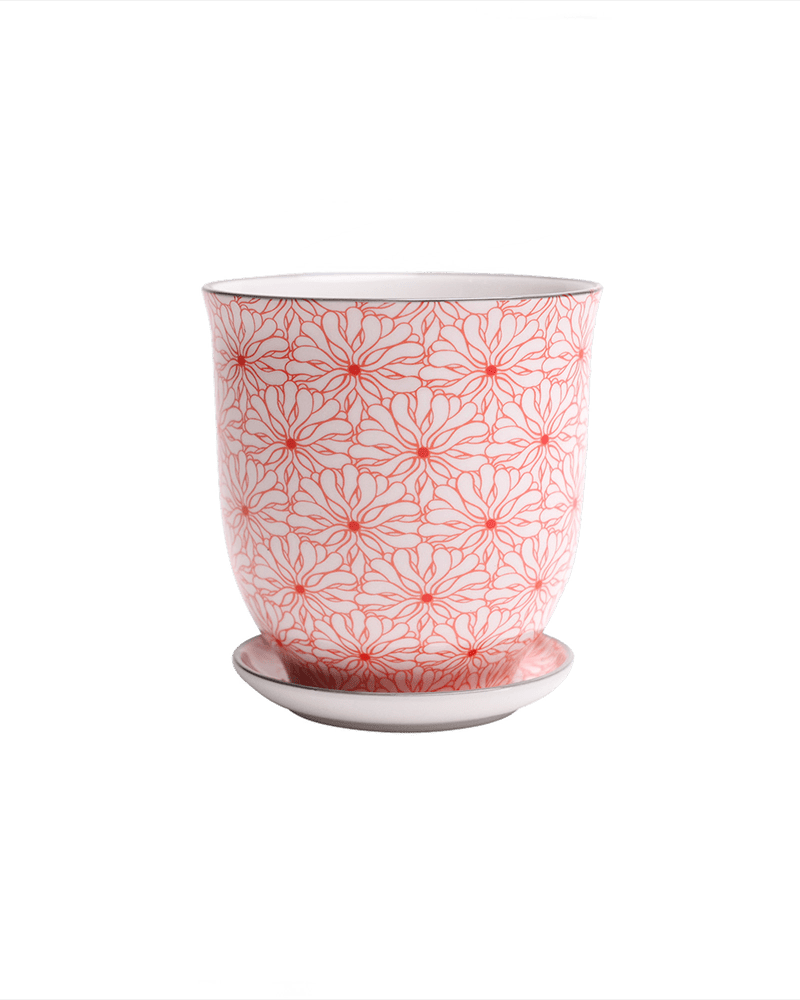 Liberte Porcelain Pot And Saucer Set With Drainage - Chive UK Wholesale
