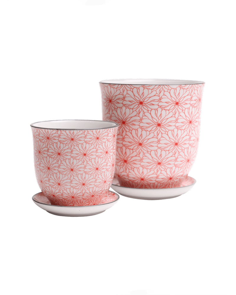 Liberte Porcelain Pot And Saucer Set With Drainage - Chive UK Wholesale