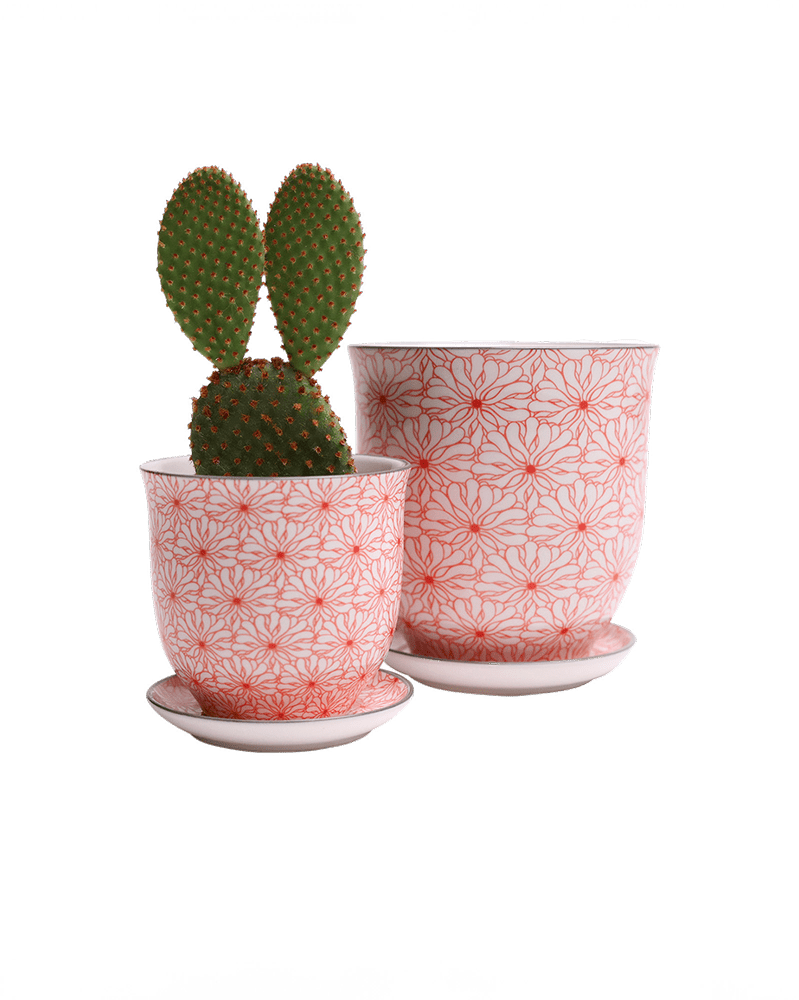 Liberte Porcelain Pot And Saucer Set With Drainage - Chive UK Wholesale