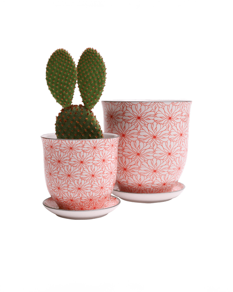 Liberte Porcelain Pot And Saucer Set With Drainage - Chive UK Wholesale