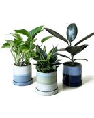 Minute Ceramic Pot And Saucer With Drainage Kit - Chive UK Wholesale