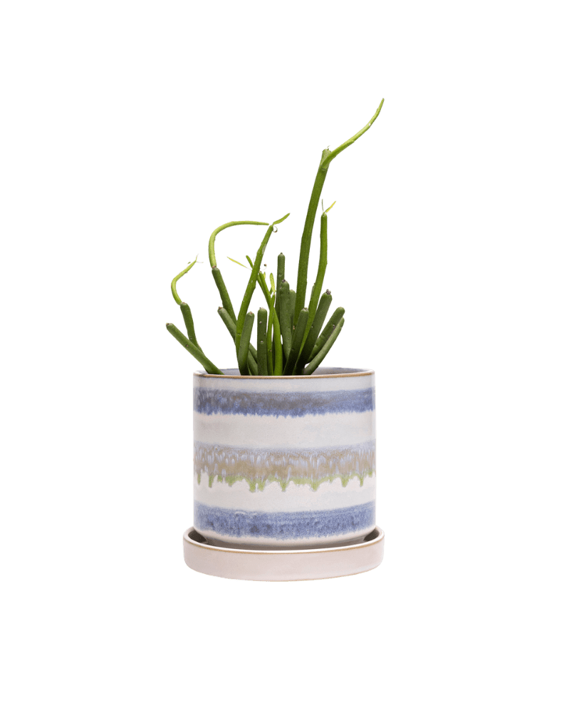 Minute Ceramic Pot And Saucer Set With Drainage - Chive UK Wholesale