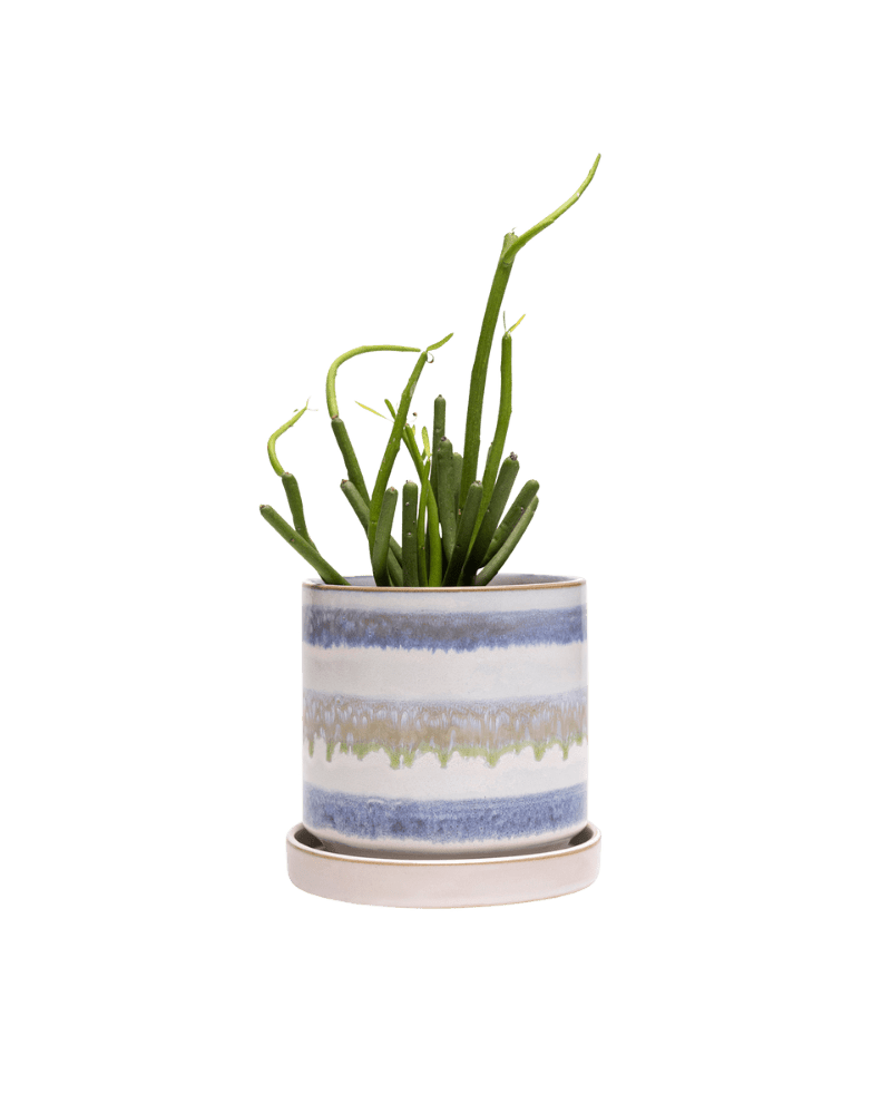 Minute Ceramic Pot And Saucer Set With Drainage - Chive UK Wholesale