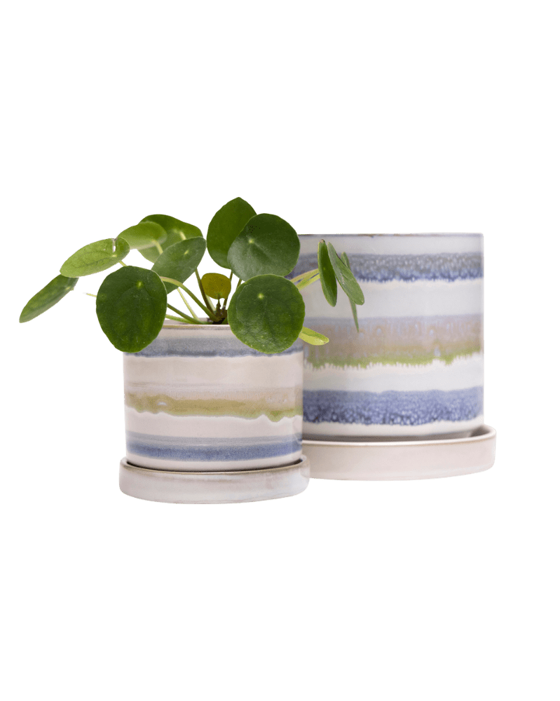 Minute Ceramic Pot And Saucer Set With Drainage - Chive UK Wholesale