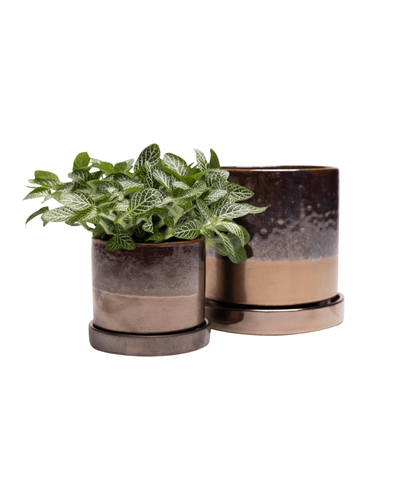 Minute Ceramic Pot And Saucer Set With Drainage - Chive UK Wholesale