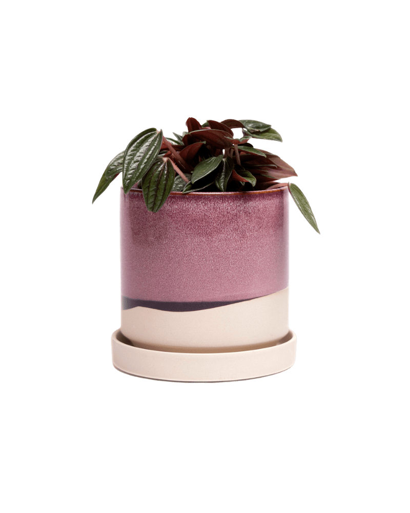 Minute Ceramic Pot And Saucer Set With Drainage - Chive UK Wholesale