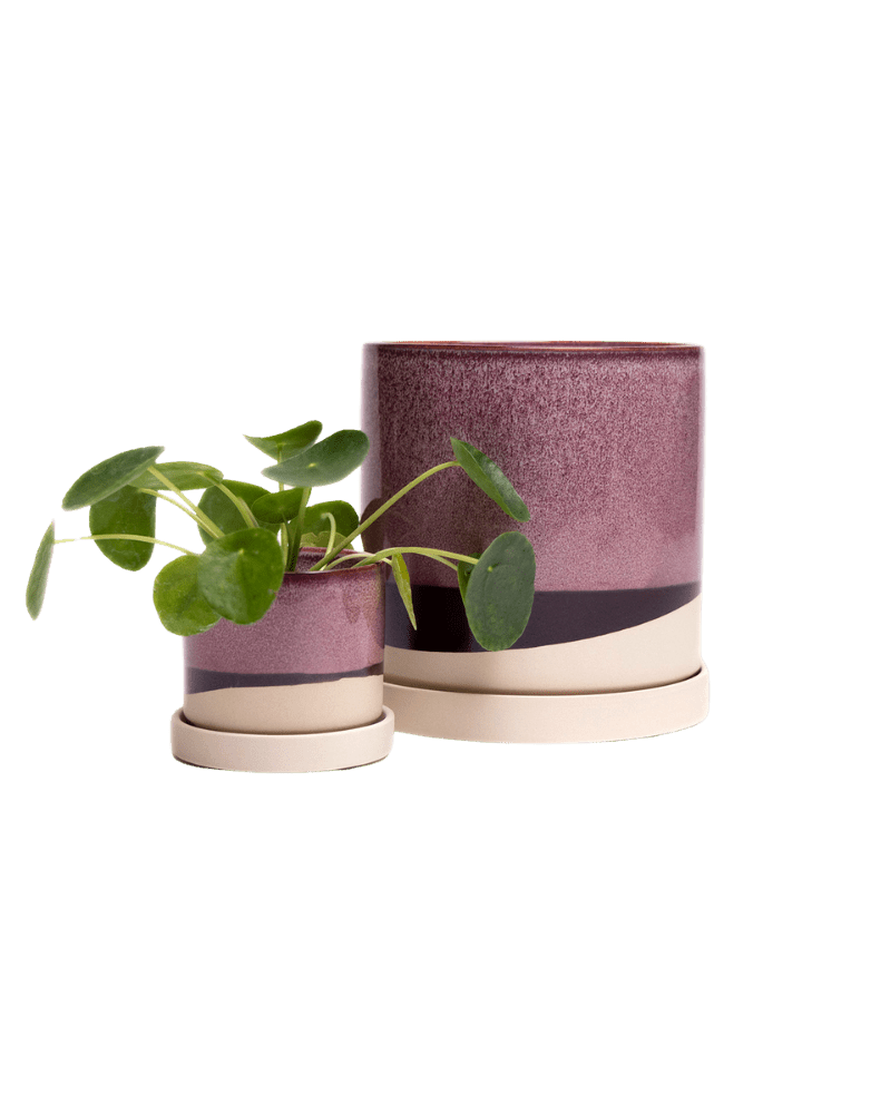 Minute Ceramic Pot And Saucer Set With Drainage - Chive UK Wholesale