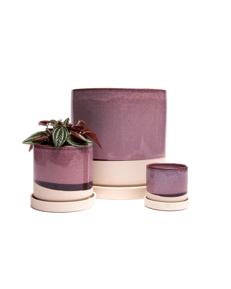 Minute Ceramic Pot And Saucer Set With Drainage - Chive UK Wholesale