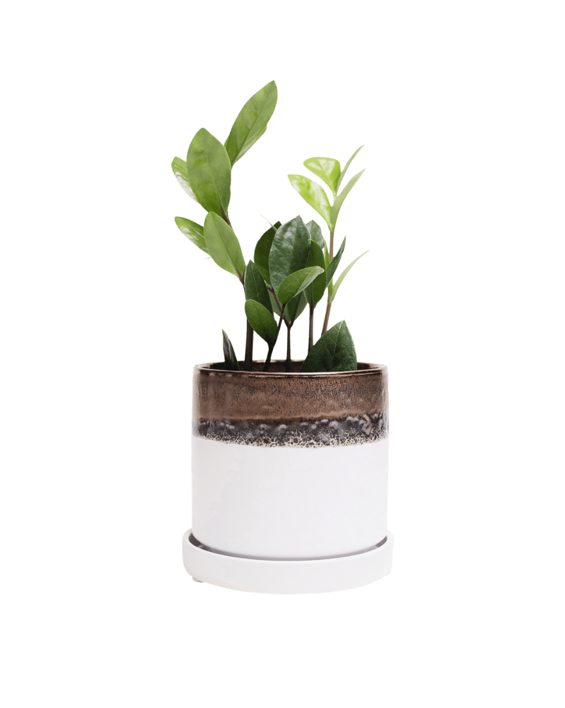 Minute Ceramic Pot And Saucer Set With Drainage - Chive UK Wholesale