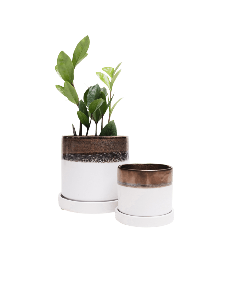 Minute Ceramic Pot And Saucer Set With Drainage - Chive UK Wholesale