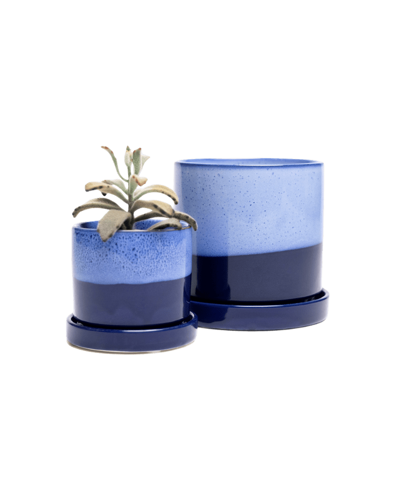 Minute Ceramic Pot And Saucer Set With Drainage - Chive UK Wholesale
