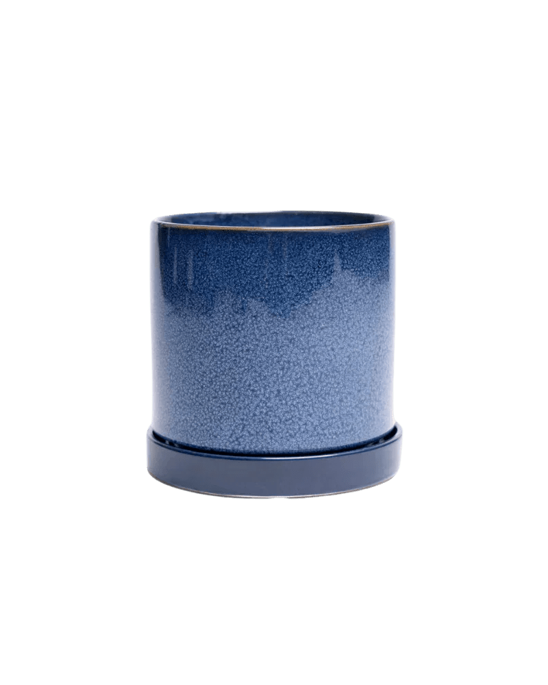 Minute Ceramic Pot And Saucer With Drainage Kit - Chive UK Wholesale