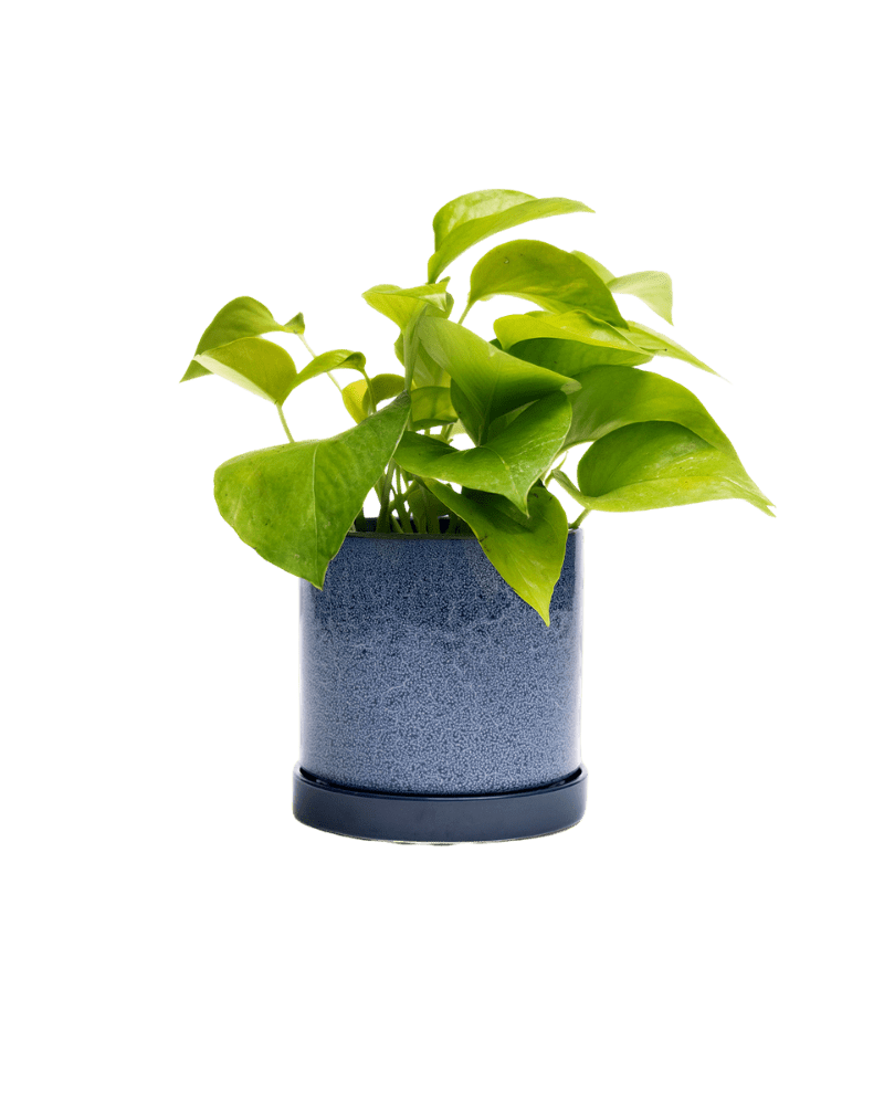 Minute Ceramic Pot And Saucer Set With Drainage - Chive UK Wholesale