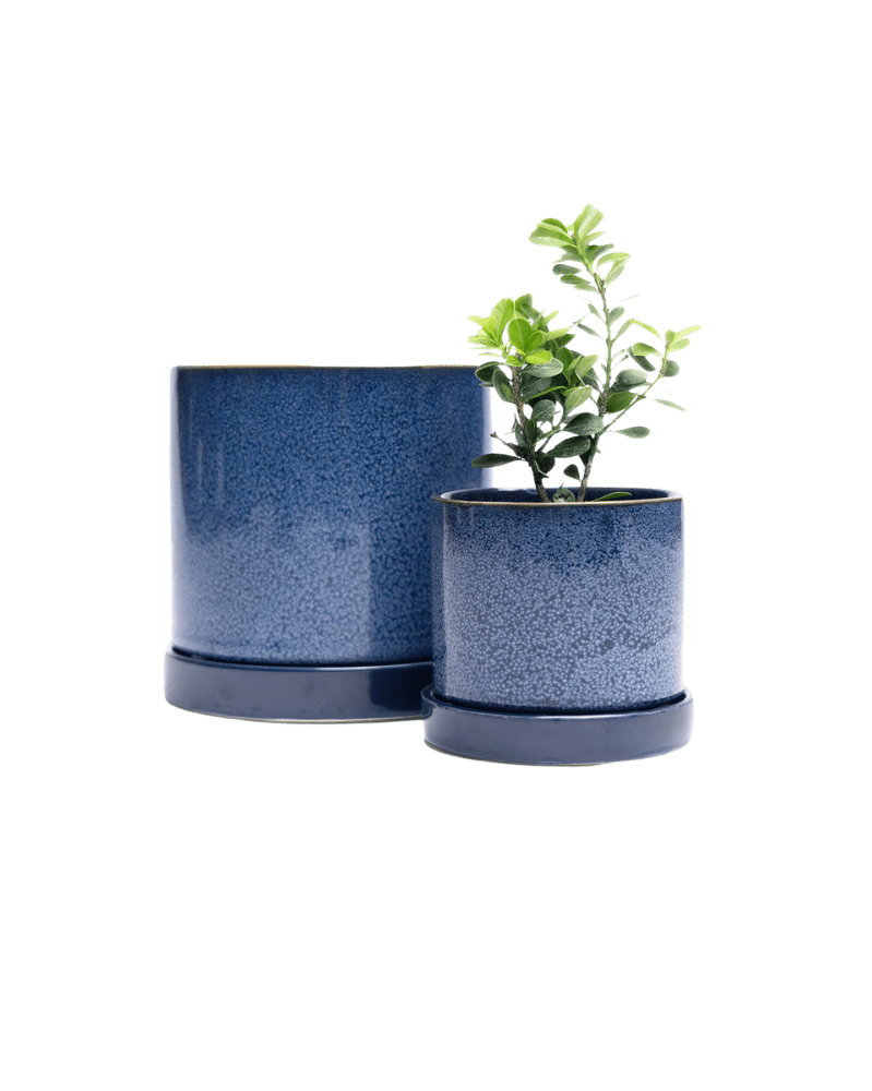 Minute Ceramic Pot And Saucer Set With Drainage - Chive UK Wholesale