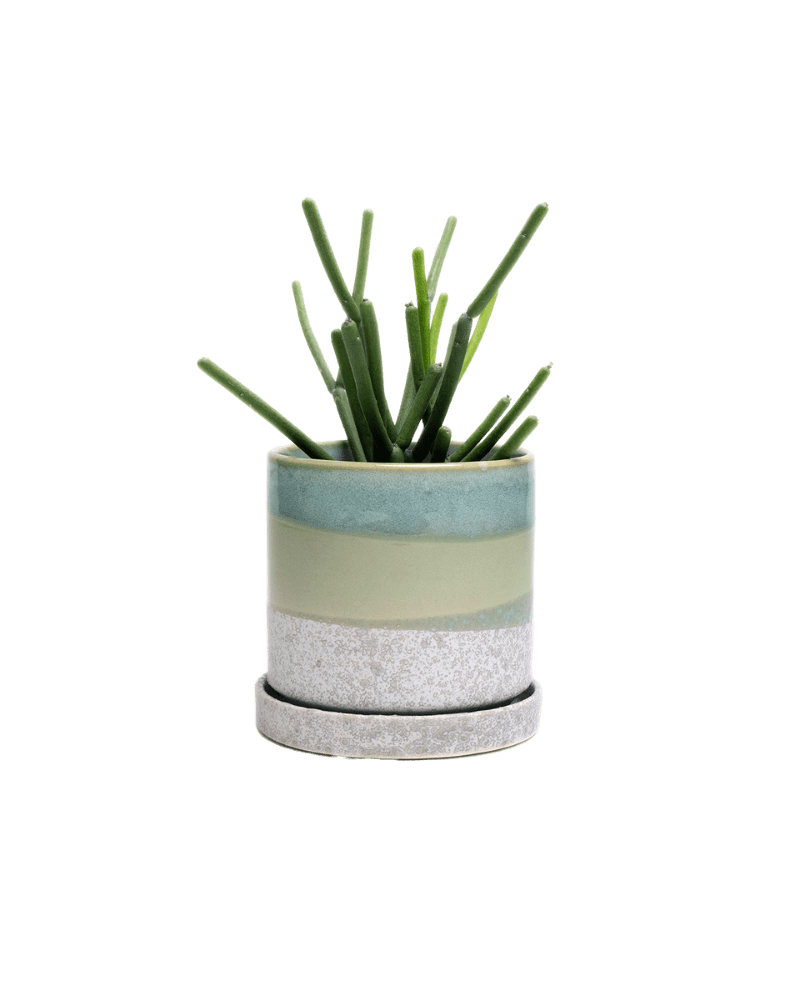Minute Ceramic Pot And Saucer Set With Drainage - Chive UK Wholesale