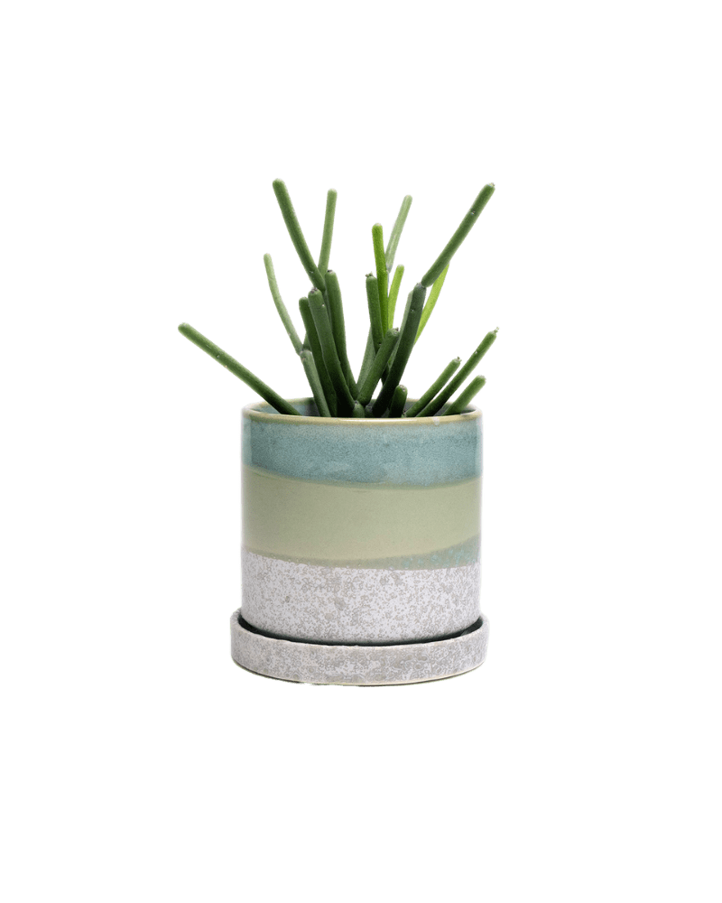 Minute Ceramic Pot And Saucer Set With Drainage - Chive UK Wholesale