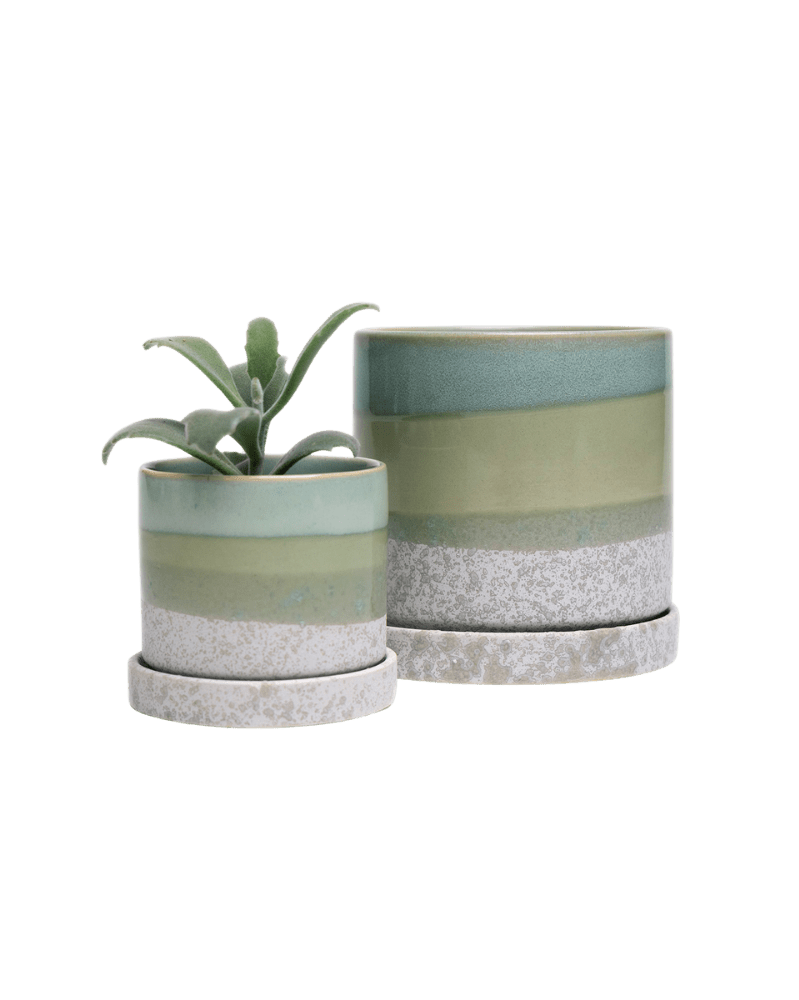 Minute Ceramic Pot And Saucer Set With Drainage - Chive UK Wholesale
