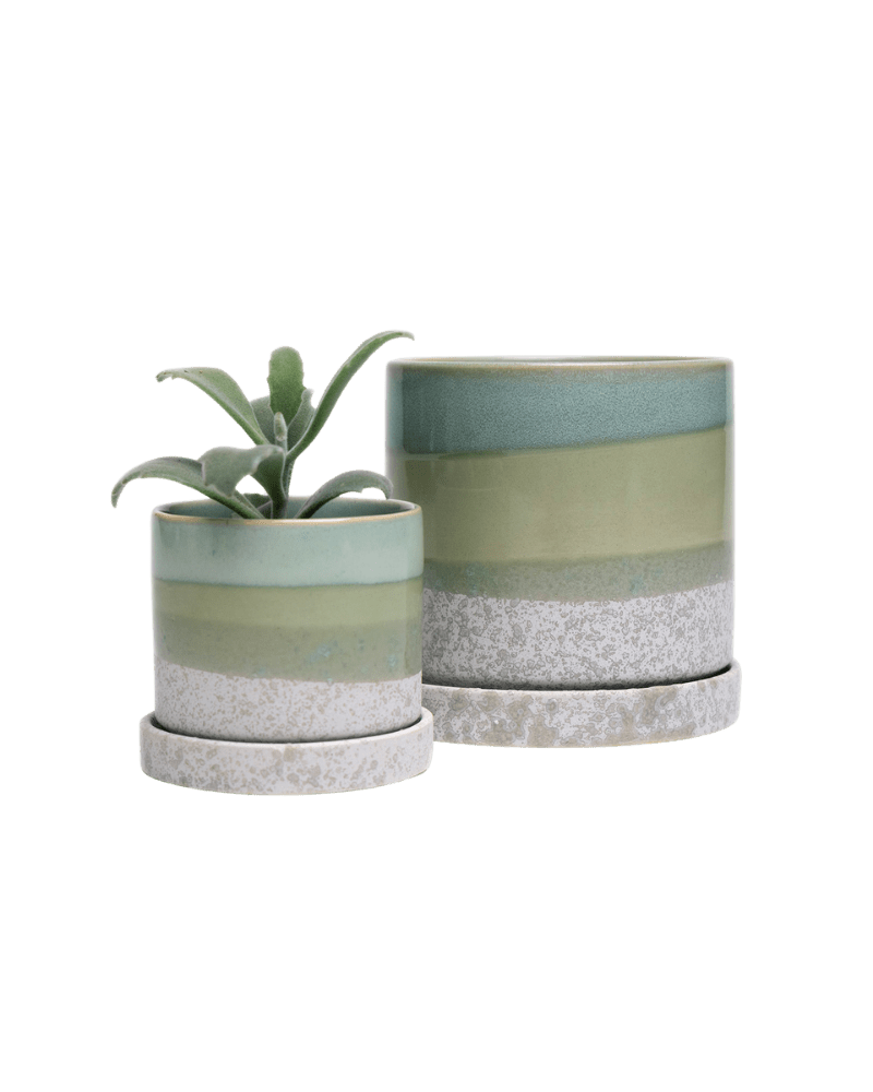 Minute Ceramic Pot And Saucer Set With Drainage - Chive UK Wholesale