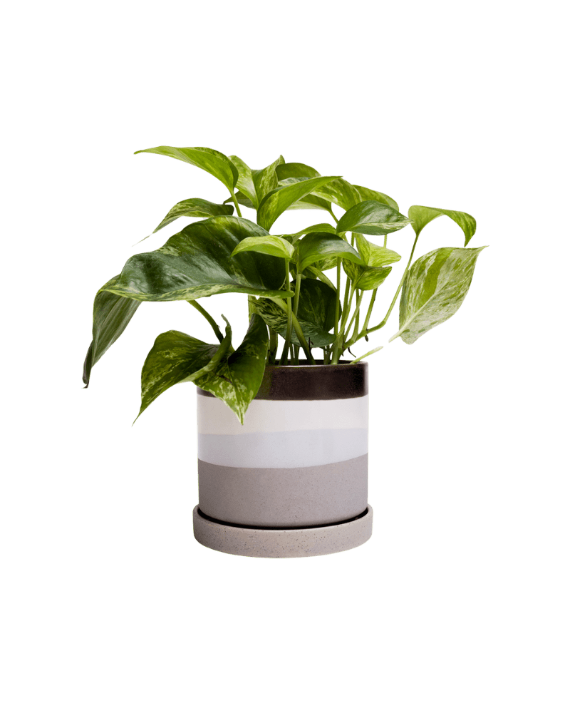 Minute Ceramic Pot And Saucer Set With Drainage - Chive UK Wholesale