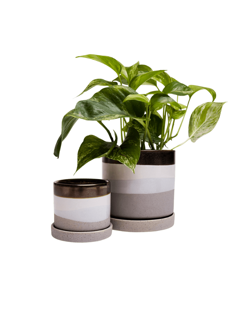 Minute Ceramic Pot And Saucer Set With Drainage - Chive UK Wholesale