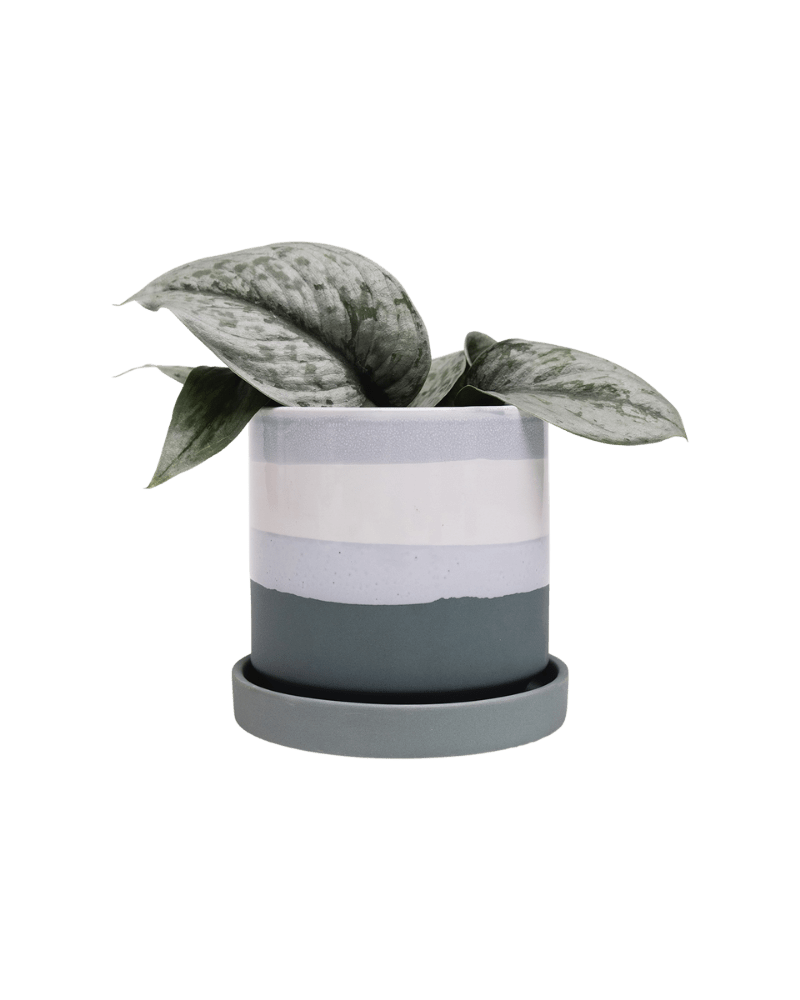 Minute Ceramic Pot And Saucer Set With Drainage - Chive UK Wholesale