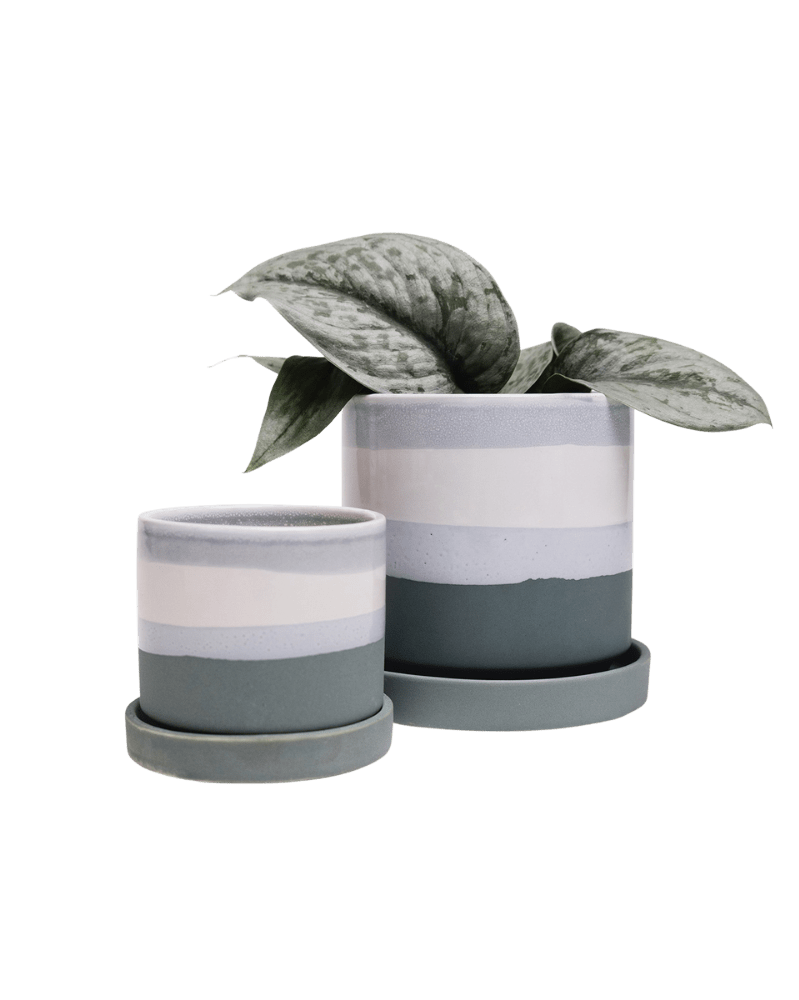 Minute Ceramic Pot And Saucer Set With Drainage - Chive UK Wholesale