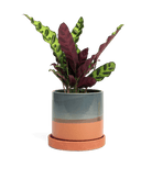 Minute Ceramic Pot And Saucer Set With Drainage - Chive UK Wholesale