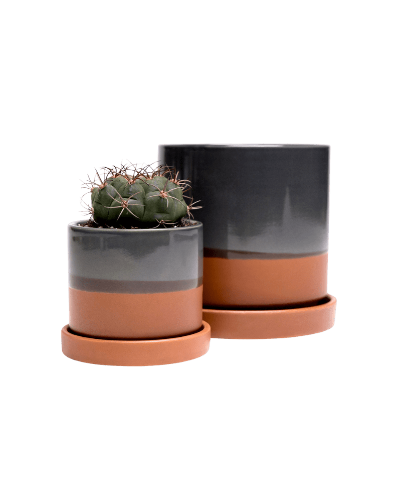 Minute Ceramic Pot And Saucer Set With Drainage - Chive UK Wholesale