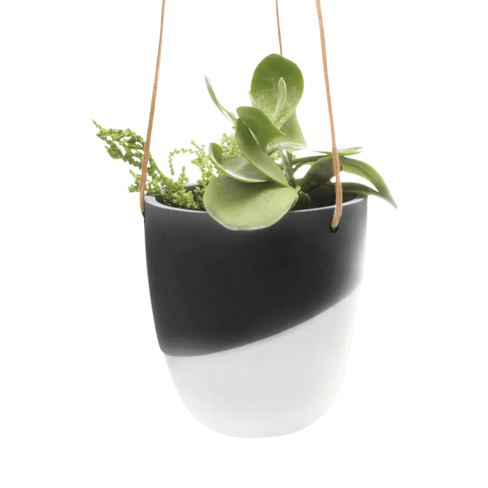 Bobbin Porcelain Modern Hanging Indoor Plant Pot Kit - Chive UK Wholesale