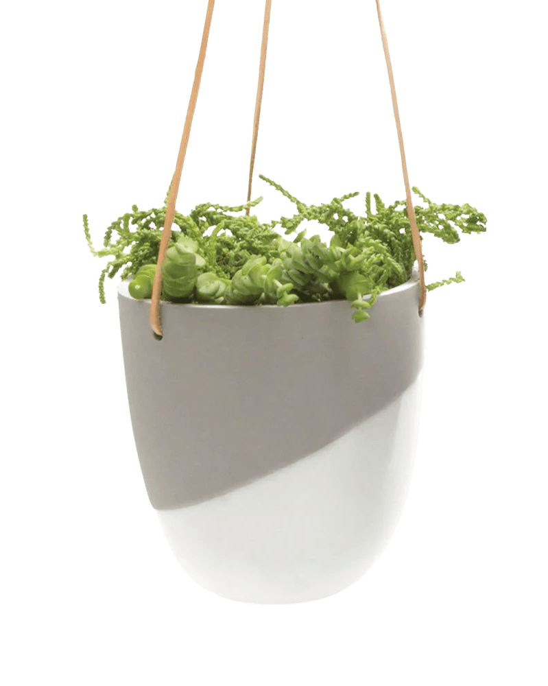 Bobbin Porcelain Modern Hanging Indoor Plant Pot - Chive UK Wholesale