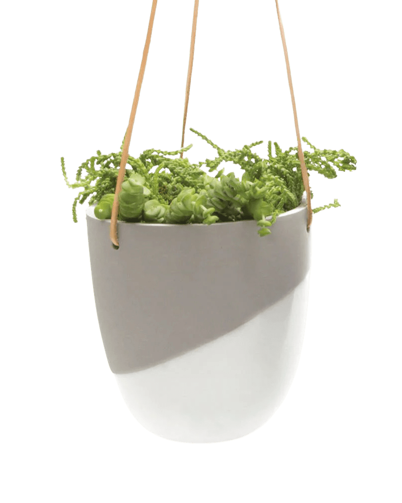 Bobbin Porcelain Modern Hanging Indoor Plant Pot - Chive UK Wholesale
