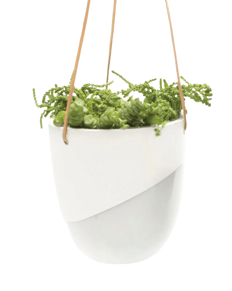Bobbin Porcelain Modern Hanging Indoor Plant Pot - Chive UK Wholesale