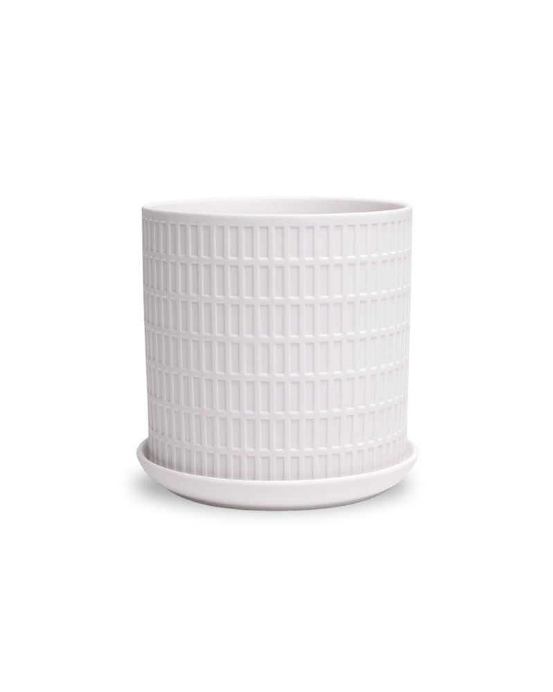 Virago 5" Porcelain Pot With Drainage Hole And Saucer - Chive UK Wholesale