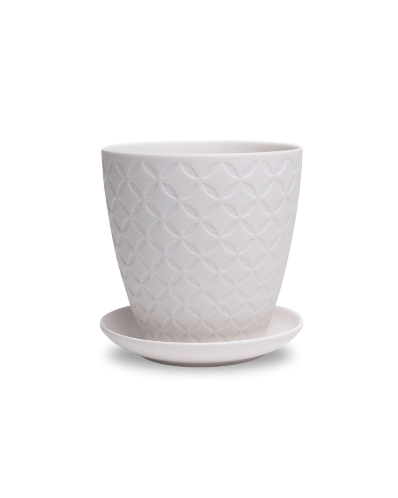 Virago 5" Porcelain Pot With Drainage Hole And Saucer - Chive UK Wholesale