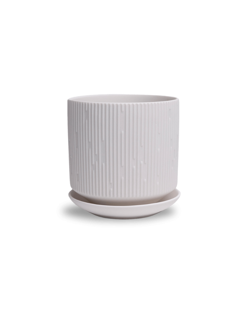 Virago 5" Porcelain Pot With Drainage Hole And Saucer - Chive UK Wholesale