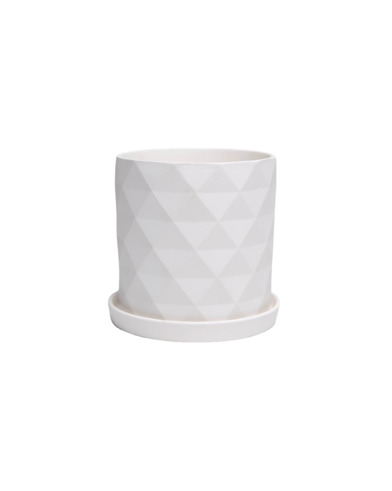 Virago 5" Porcelain Pot With Drainage Hole And Saucer - Chive UK Wholesale