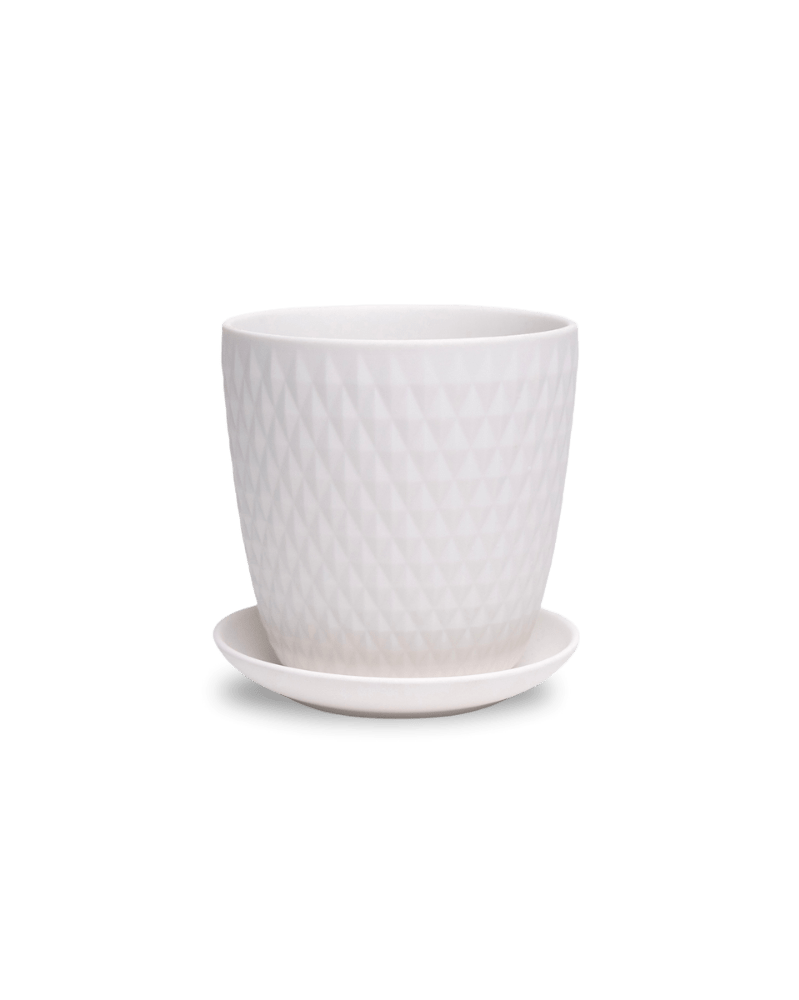 Virago 5" Porcelain Pot With Drainage Hole And Saucer - Chive UK Wholesale