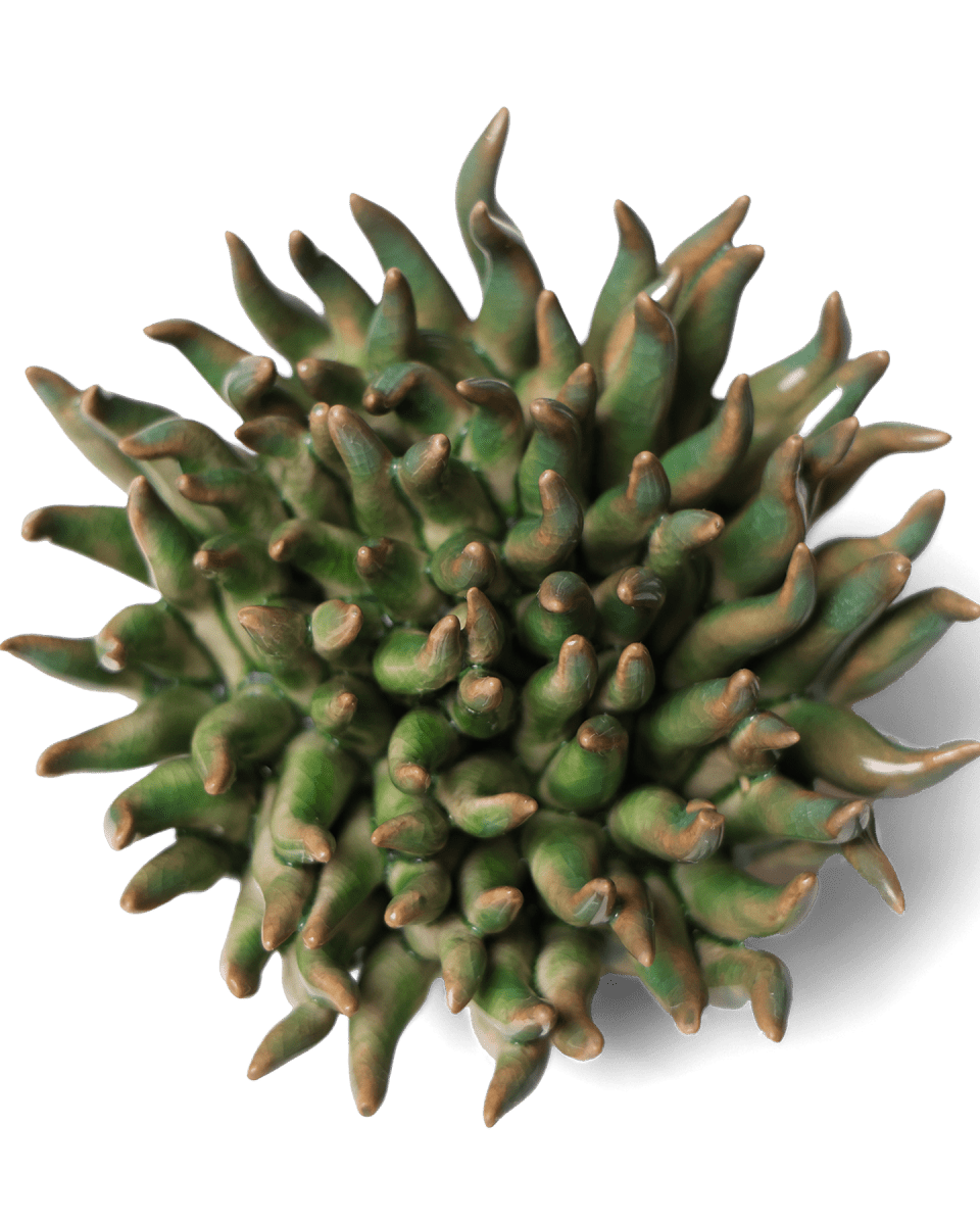 Ceramic Flower Mondo Green 4 - Chive UK Wholesale
