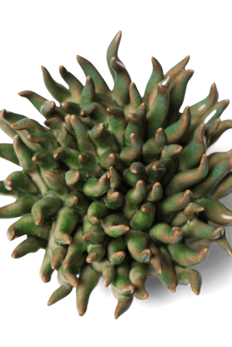 Ceramic Flower Mondo Green 4 - Chive UK Wholesale